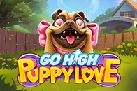 Go High Puppy Love